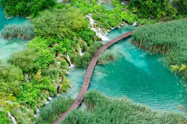 Belles chutes d'eau dans le parc national des lacs de Plitvice, Croatie — Photo