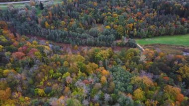 Sigulda ve Turaida, Letonya yakınlarındaki Gauja Ulusal Parkı 'ndaki Krimulda Sarayı' nın hava görüntüsü. Sonbaharda Bahçeli Eski Malikane. Gauja Nehri 'nin Eski Vadisi, Krimulda, Krimulda Malikânesi, Turaida Şatosu' nun olduğu Dağ 'daki Renkli Orman. 4K Video