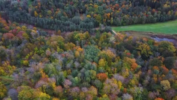 Vista Aérea Palácio Krimulda Parque Nacional Gauja Perto Sigulda Turaida — Vídeo de Stock