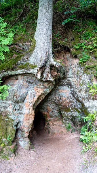 Anfabrika Skály Sklepy Městě Ligatne Stará Přehrada Starověké Pískovcové Jeskyně — Stock fotografie