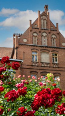 Tume, Letonya 7 Temmuz 2020, Tuğla Ortaçağ Jaunmoku Kalesi. Jaunmokas Malikânesi Parkı. Bu Neo-gotik Saray 1901 'de Mimar Wilhelm Bockslaff tarafından tasarlandı..