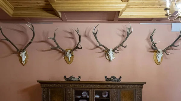 Bois Cerf Intérieur Château Chasseur Style Rétro Médiéval — Photo