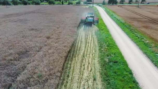 Erntehelfer Dreschen Raps Mit Reifen Rapsbohnen Auf Dem Feld Überfliegender — Stockvideo