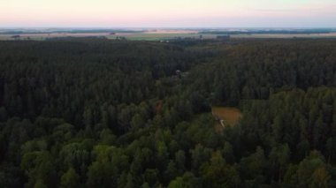 Sonbaharda Letonya 'daki Tervete Doğa Parkı' nda Yeşil Çam ve Kozalaklı Kozalaklı Ağaç Tepeleri Ormanı 'yla uçmak. Doğa Arkaplan Görüntüsü. 4K Video