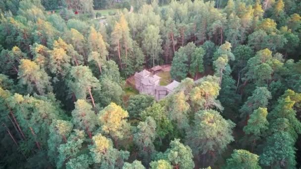 Castillo Madera Los Semigalianos Tervete Letonia Rodeado Bosque Pinos Vista — Vídeo de stock