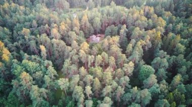 Tervete, Letonya 'da Pine Forest ile çevrili yeniden inşa edilmiş Semigallian Ahşap Şatosu. Hava Dron 4k Görünümü.