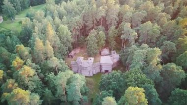 Tervete, Letonya 'da Pine Forest ile çevrili yeniden inşa edilmiş Semigallian Ahşap Şatosu. Hava Dron 4k Görünümü.