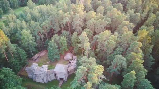 Tervete Letonya Pine Forest Ile Çevrili Yeniden Inşa Edilmiş Semigallian — Stok video