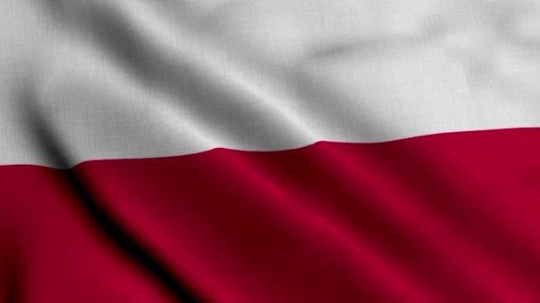 Bandera Satén Polonia Tejido Ondeante Textura Bandera Polonia Textura Real — Vídeo de stock