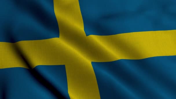 Suécia Bandeira Cetim Acenando Textura Tecido Bandeira Suécia Real Textura — Vídeo de Stock