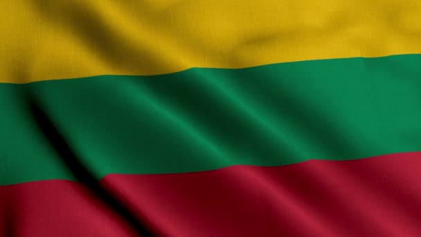 Λιθουανία Σημαία Σατέν Υφαντική Ύφασμα Της Σημαίας Της Λιθουανίας Υφαντική — Αρχείο Βίντεο