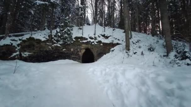 雪树覆盖的深雪冬景 库贝斯勒自然之路拉脱维亚 波罗的海 进入Gauja国家公园称为 Runtiala 的洞穴 冬季景观 — 图库视频影像