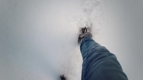 Kar Yağışında Kış Yürüyüşü Pov Yürüyüşü Sahnesi Derin Karda Yürüyen — Stok video