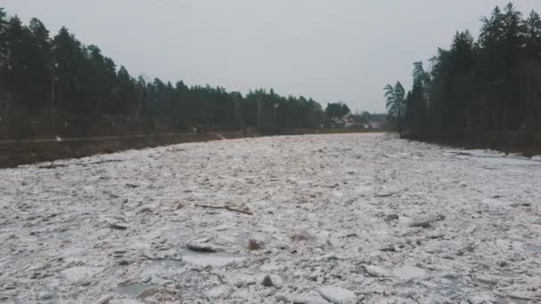 Enorme Carico Ghiaccio Deriva Nel Fiume Ogre Lettonia Dron Aerea — Video Stock