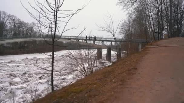 Hatalmas Jégrakományok Sodródnak Ogre Folyóban Lettországban Stedicam Shot Snowy Mart — Stock videók