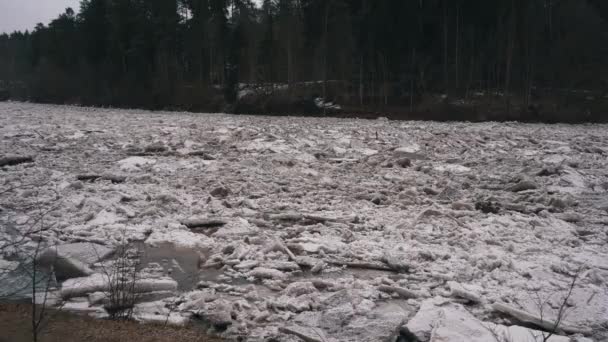 Enorme Ijsladingen Drijven Rivier Ogre Letland Stedicam Neergeschoten Snowy Mart — Stockvideo