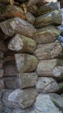 Letonya 'daki Araisi Gölü Kalesi. Kış mevsiminde Araisi Gölü 'ndeki Küçük Göl Adası' nda tarihi ahşap binalar. Antik Avrupa Halkının Tahta Güçlendirilmiş Yerleşkesinin Yeniden İnşa Edilmesi