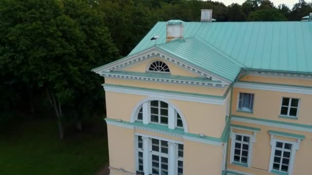 Aerial Shot City Mezotne Łotwa Pałac Mezotne Park Fontanną Bocian — Wideo stockowe