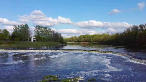 Latające Ryby Przy Wodospadzie Ventas Rumba Najszerszy Wodospad Europie Łotwie — Wideo stockowe