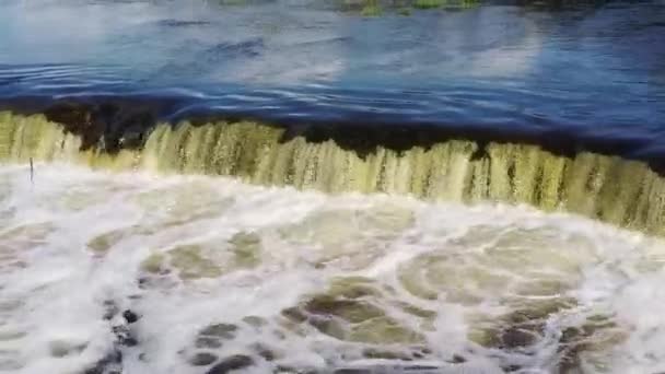 Peixe Voador Cachoeira Ventas Rumba Maior Cachoeira Europa Letônia Kuldiga — Vídeo de Stock