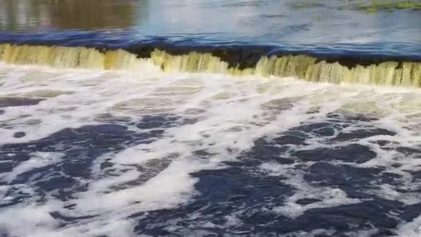 Flying Fish Vid Ventas Rumba Waterfall Det Bredaste Vattenfallet Europa — Stockvideo