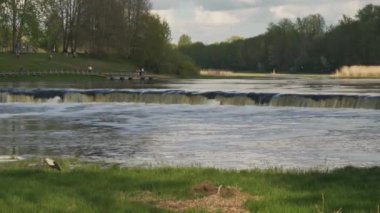 Ventas Rumba Şelalesinde Uçan Balık. Letonya Kuldiga 'daki Avrupa' nın en geniş şelalesi Venta Nehri üzerindeki Goldingen olarak da bilinir. 4K Dolly Stedicam Vuruşu