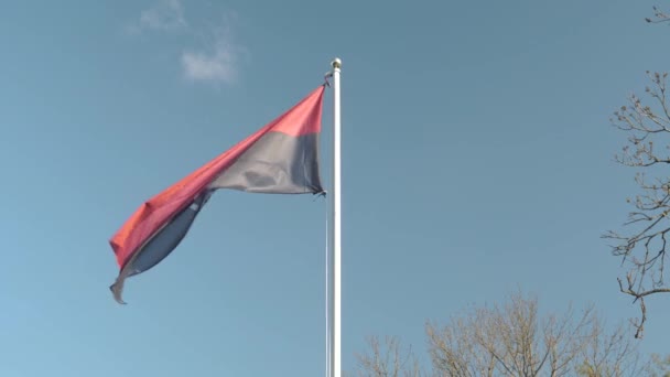 Bandera Kuldiga Goldinger Letonia Antiguo Willage Histórico Video — Vídeo de stock