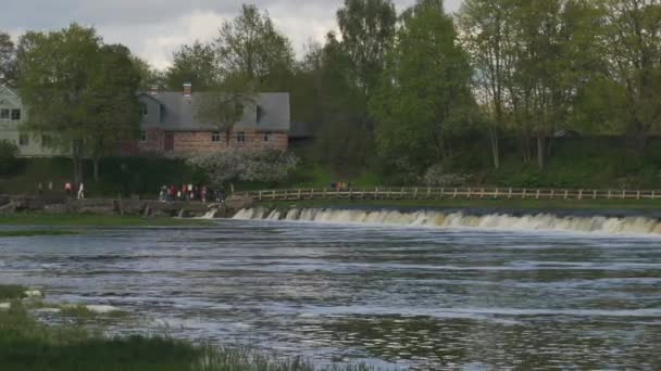 Peixe Voador Cachoeira Ventas Rumba Maior Cachoeira Europa Letônia Kuldiga — Vídeo de Stock