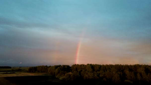 Double Arc Ciel Sur Forêt Champ Blé Dark Thunderstorm Clouds — Video