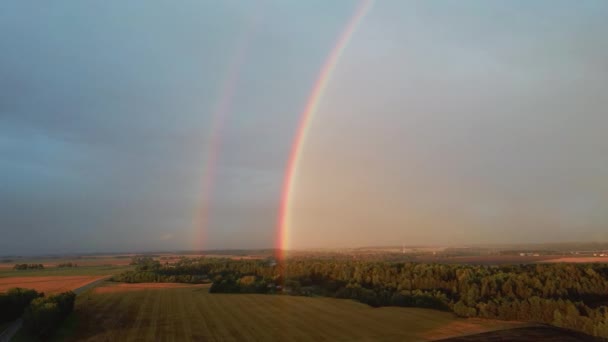 Dubbel Regnbåge Över Skog Och Vetefält Mörka Åska Moln Och — Stockvideo