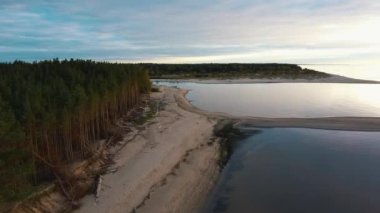 Gauja Nehri, Riga 'nın Baltık Denizi Körfezi' ne akıyor. Fırtına Sonrası Kırık Çamlar ve Yıkanmış Kıyılar. Hava Aracı Üst Görünüm Sonbahar Akşamı Gündoğumu Nehir Kanalizasyonu 'nda Denize