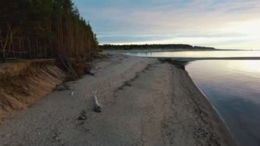 Gauja Nehri, Riga 'nın Baltık Denizi Körfezi' ne akıyor. Fırtına Sonrası Kırık Çamlar ve Yıkanmış Kıyılar. Hava Aracı Üst Görünüm Sonbahar Akşamı Gündoğumu Nehir Kanalizasyonu 'nda Denize