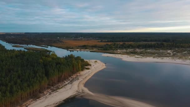 Rio Gauja Flui Para Golfo Mar Báltico Riga Broken Pines — Vídeo de Stock