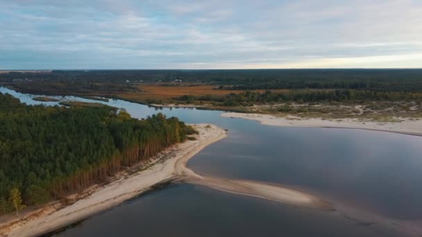 Ποταμός Gauja Ρέει Στον Κόλπο Της Ρίγας Της Βαλτικής Θάλασσας — Αρχείο Βίντεο