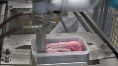 Modern Fabrikada Endüstriyel Dondurma Üretim Süreci, Otomatik Doldurma Makineleri Konveyör Hattı 'ndaki plastik konteynırlara Kremalı Tatlı Dökme, Gıda Üretimi