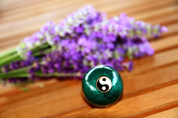 Çin topu dinlenmek için