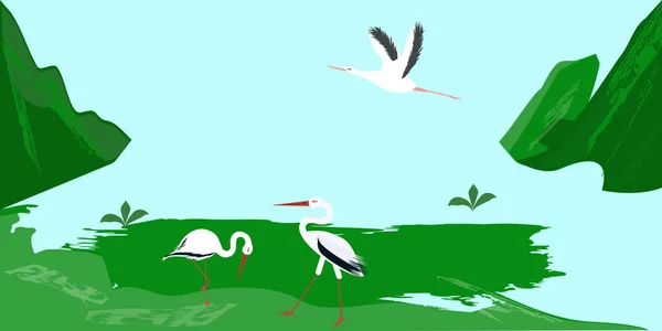 Storkar Par Fåglar Som Står Ett Grönt Fält Flygande Kran — Stock vektor