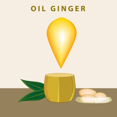 Zencefil yağı, çay fincanı, vektör. İlaç fabrikası. Güzellik ve sağlık. Zayıflama.