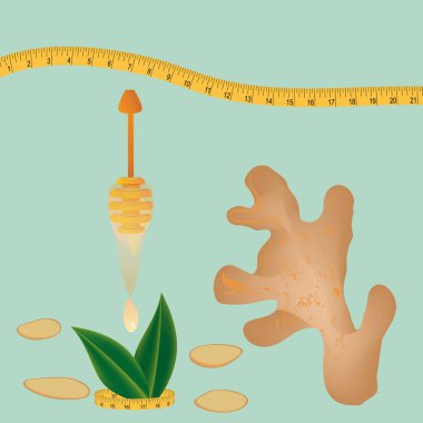 Zencefil dilimleri ve kök, bir kepçeden damlayan bal damlaları, şerit ölçme - vektör. İlaç fabrikası. Güzellik ve sağlık. Zayıflatıcı içecek.