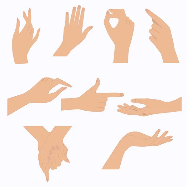 Жіночі Руки Набір Позицій Ізольовані Білому Тлі Вектор Елементи Дизайну — стоковий вектор