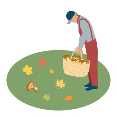 Elinde mantar sepeti olan bir adam, çayırdaki sonbahar yaprakları - beyaz arka planda izole edilmiş - vektör. Merhaba, Autumn..