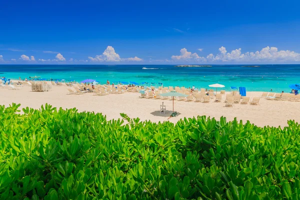 Atlantis in Bahamas — Stock Photo, Image