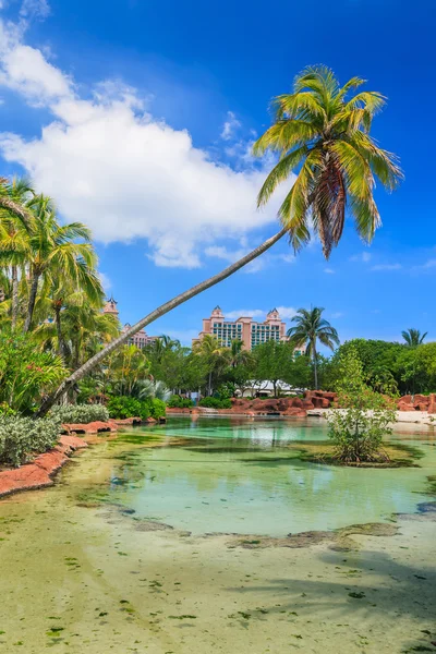 Atlantis v Bahamy — Stock fotografie