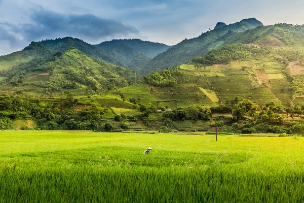 Vietnam — Stok Foto