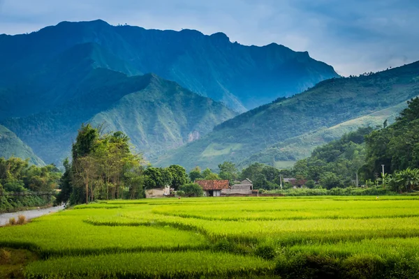 Vietnam —  Fotos de Stock