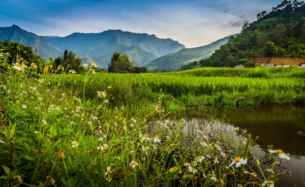 Vietnam — Stockfoto