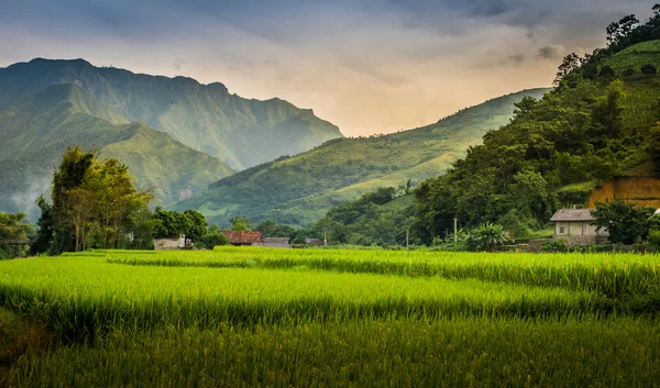 Vietnam — Stockfoto