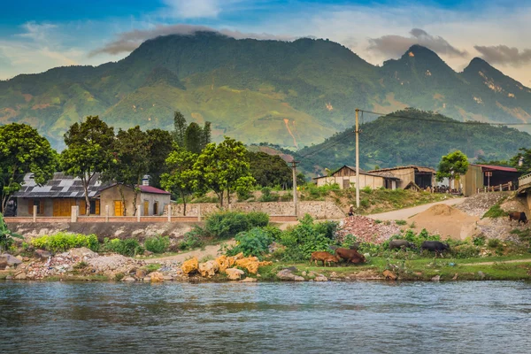 Vietnam — Stock Photo, Image