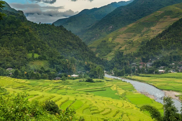 Vietnam — Stock fotografie