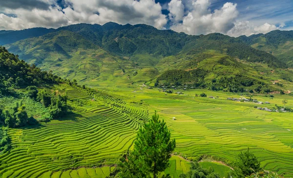 Vietnam — Foto de Stock